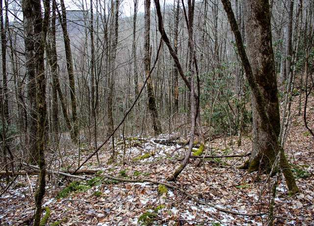Property at 1824 Black Rock Rd, Qualla, NC 28719