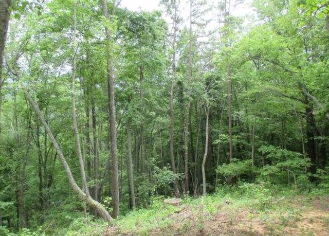 Property at Lot 37 Deeplow Gap, Bryson City, NC 28713