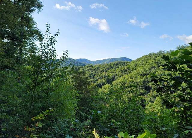 Property at 845* Little Ellijay Rd, Franklin, NC 28734