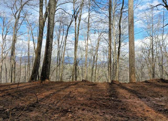 Property at 0 November Dr, Webster, NC 28788