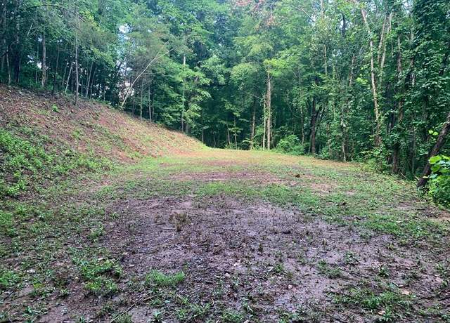 Property at #D Hwy 129 N, Robbinsville (graham), NC 28771