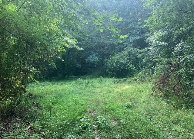 Property at 0 Hwy 129n, Robbinsville (graham), NC 28771