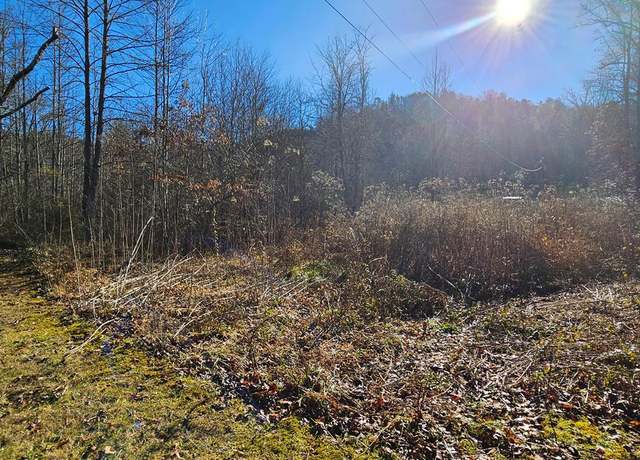 Property at 24.74 AC East Frk, Sylva, NC 28779