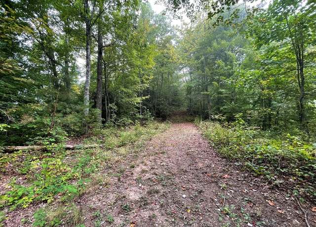 Property at Lt 53 Still Branch Rd, Whittier, NC 28789