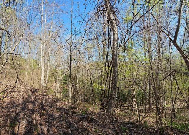 Property at 29A Timber Estates Rd, Bryson City, NC 28713