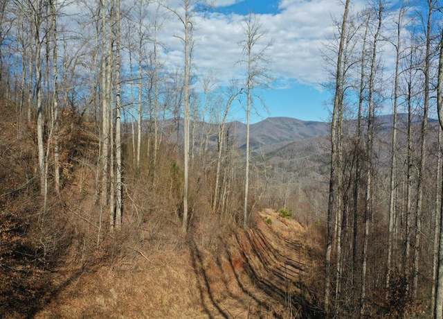 Property at 0 Lyle Mountain Trl, Franklin, NC 28734