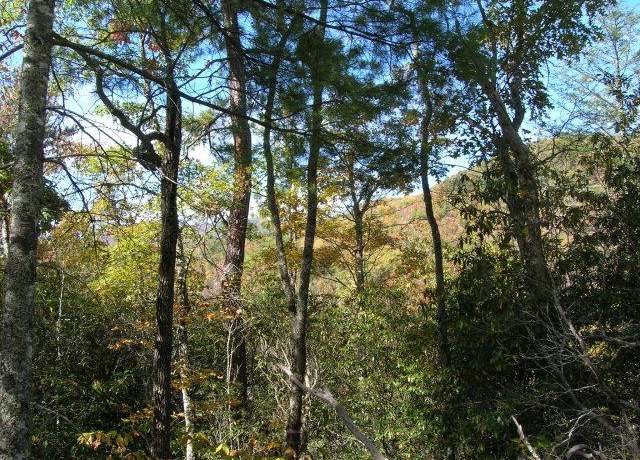 Property at Lot 4 Chimneytop Hts, Bryson City, NC 28713