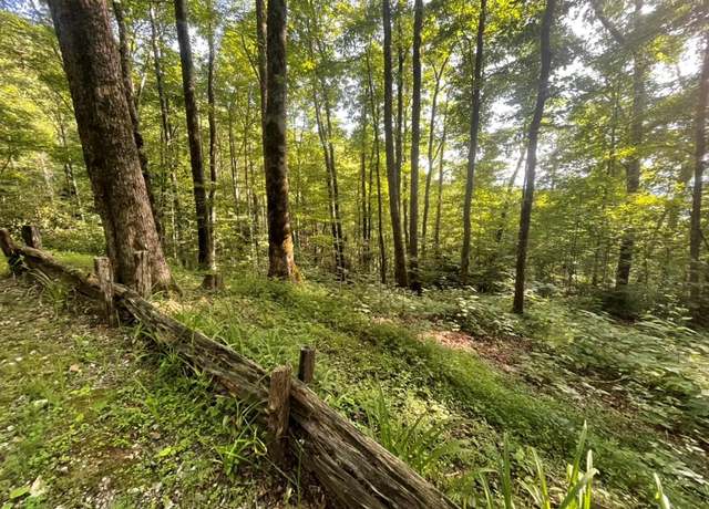 Property at 00 Von Trapp, Tuckasegee, NC 28783