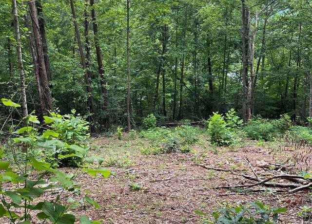 Property at 00 Jacobs Mountain Rd, Franklin, NC 28734