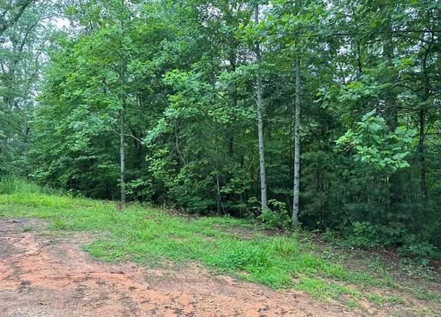 Property at TBD Lower Tuskeegee Rd, Robbinsville (graham), NC 28771
