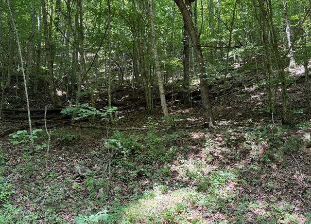 Property at 0 Saldeer Mountain Rd, Franklin, NC 28734