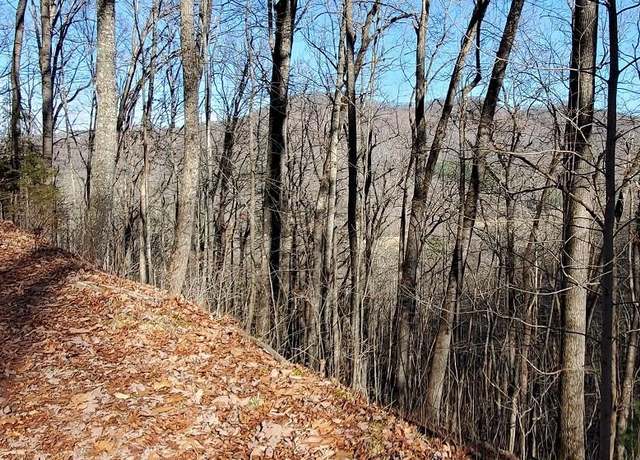 Property at 23 Deerwood Dr, Franklin, NC 28713