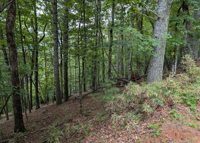 Property at 00 Chestnut Hill Dr, Franklin, NC 28734