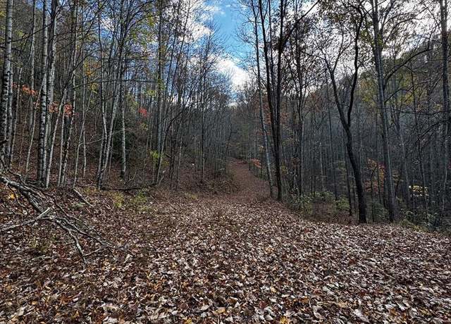 Property at Lot16&19 Black Frst, Bryson City, NC 28713