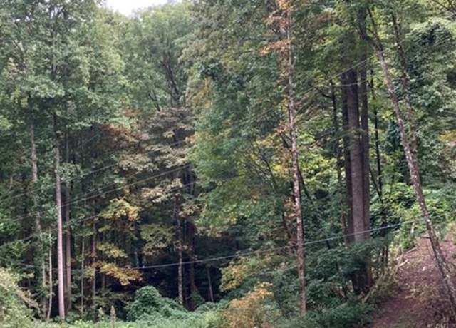 Property at 00 Laurel Dr, Whittier, NC 28789