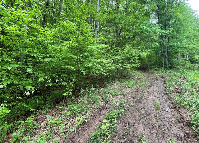 Property at 00 Horseshoe Ridge Rd, Franklin, NC 28734