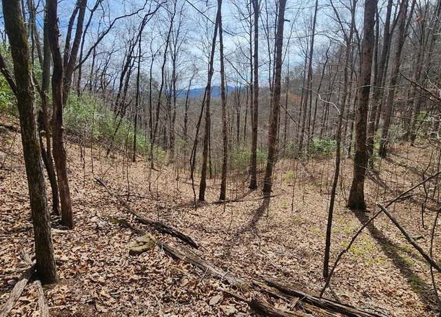 Property at Lot 8 Crepe Myrtle Ln, Franklin, NC 28734