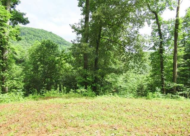 Property at Lot 8 Berry Cove Rd, Franklin, NC 28734