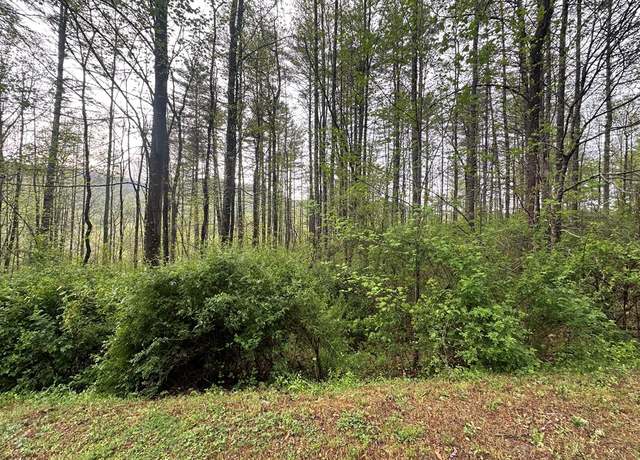 Property at Lot 31 Cove At Flat Gap, Cullowhee, NC 28723