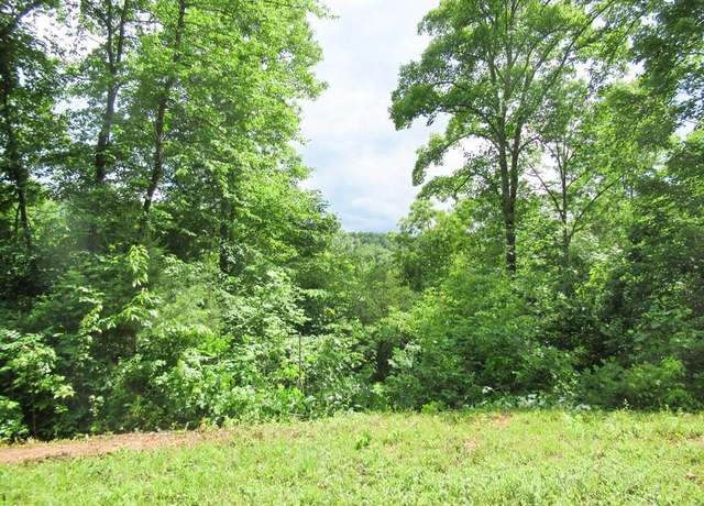 Property at Lot 9 Berry Cove Rd, Franklin, NC 28734