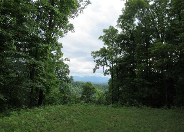 Property at Lot 17 Berry Cove Rd, Franklin, NC 28734