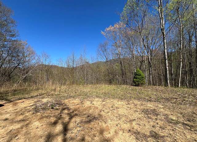 Property at 359 Loon Ln, Whittier, NC 28789