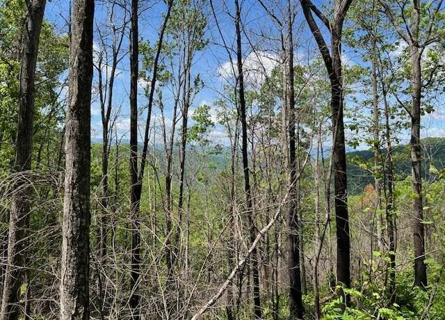 Property at Lot 8 The Fls, Bryson City, NC 28713