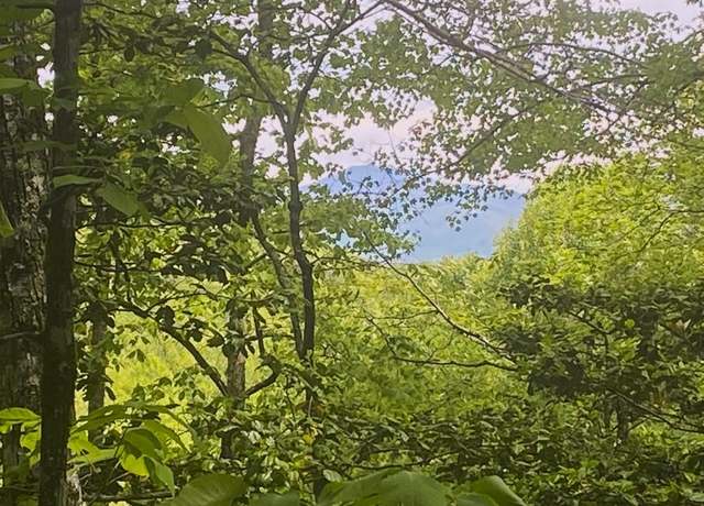 Property at 21 & 22 Trimont Lake Estates Rd, Franklin, NC 28734