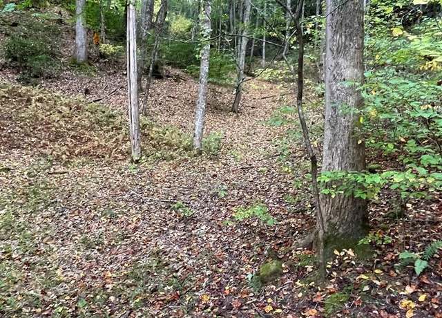 Property at Lot 18 Bartram Trl Rd, Franklin, NC 28734