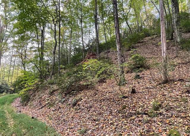 Property at Lot 19 Bartram Trl Rd, Franklin, NC 28734