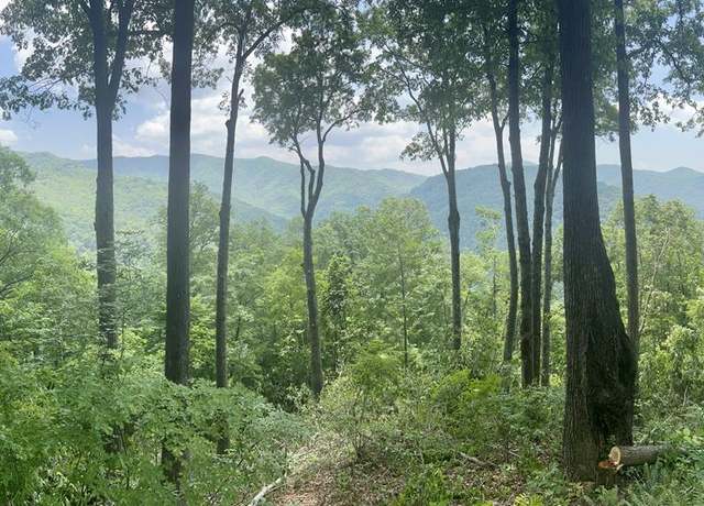 Property at Lot 13 High Springs Rd, Bryson City, NC 28713