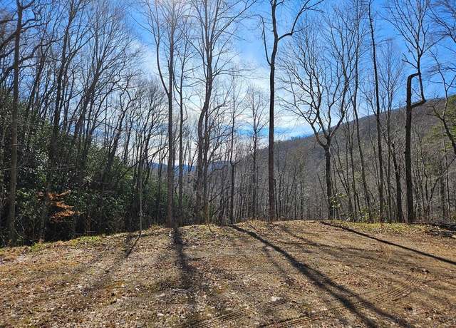 Property at TBD Dicks Creek Rd, Whittier, NC 28789
