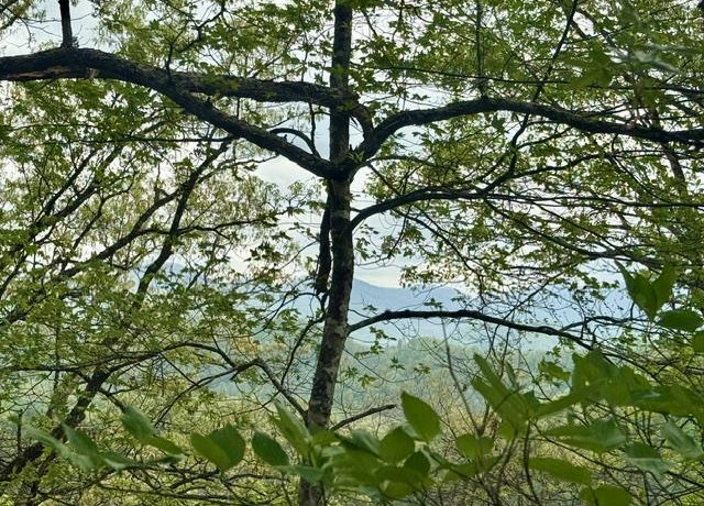 Property at LOT 24 Bellaire Ests, Cullowhee, NC 28779