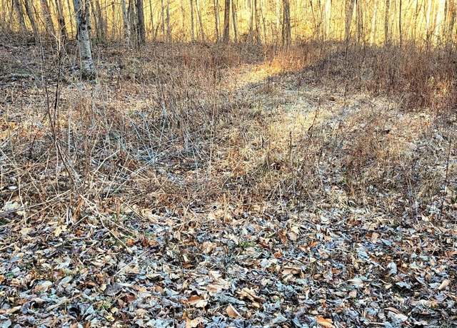 Property at 00 River Rd, Franklin, NC 28734