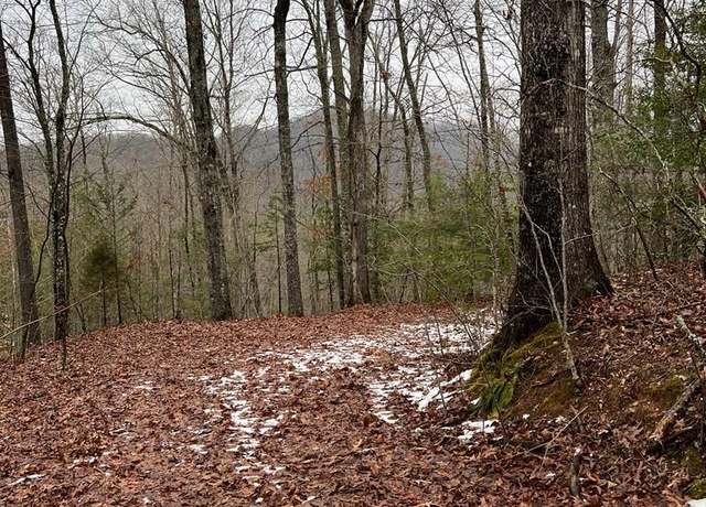 Property at 0 Hornet Dr, Whittier, NC 28789