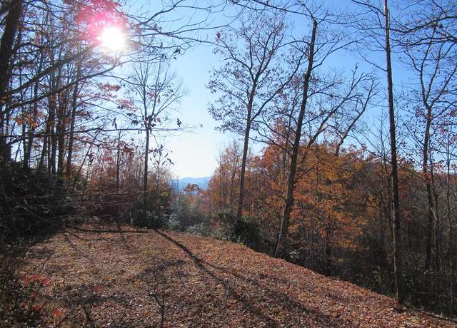 Property at 00 Jim Cochran Rd, Franklin, NC 28734