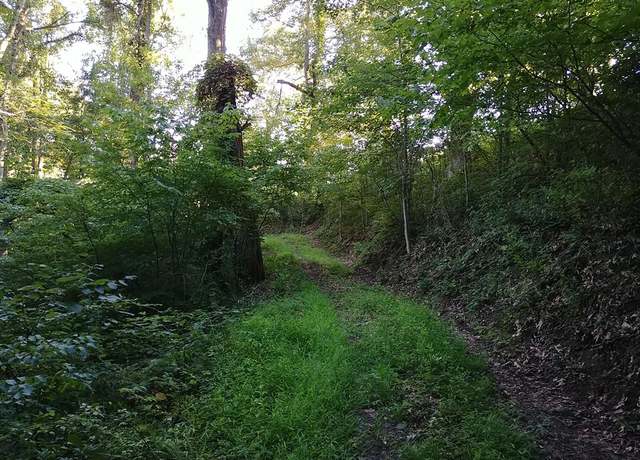 Property at 2100 Chambers Mountain Rd, Clyde, NC 28721