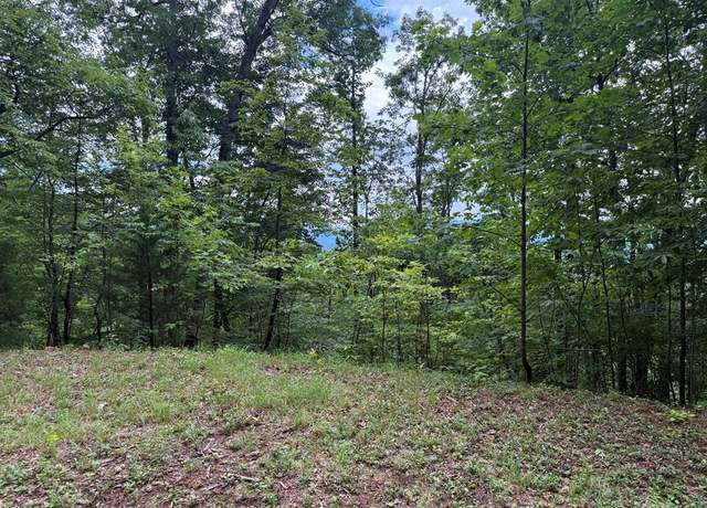 Property at Lot 74 Wildflower Phase 3, Franklin, NC 28734