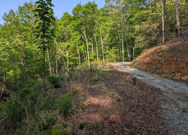 Property at 00 Cherokee Mine Rd, Franklin, NC 28734