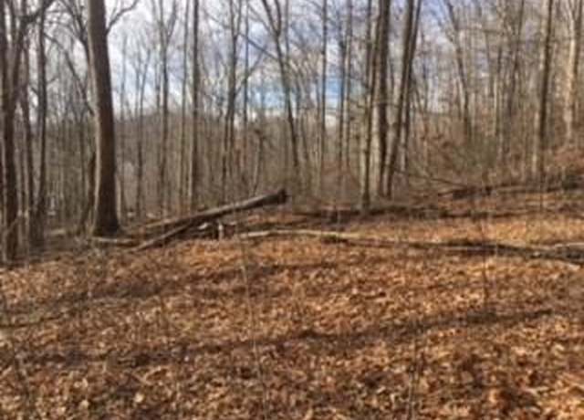Property at 8 Stone Pillow Rd, Tuckasegee, NC 28783