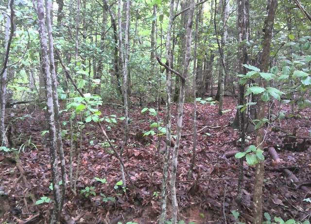 Property at 16 Painting Spring Ln, Whittier, NC 28789
