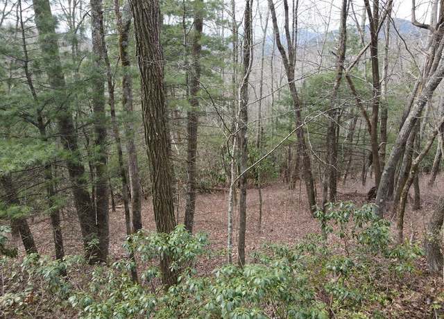 Property at SR1121 Breedlove Rd, Glenville, NC 28736