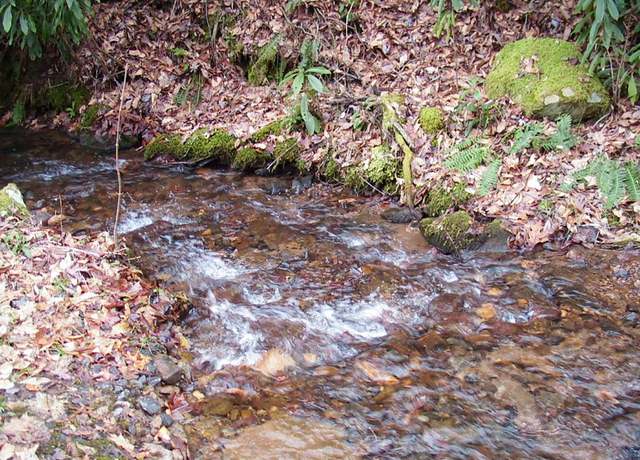 Property at TBD Wedgewood Cv, Sylva, NC 28779