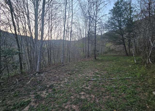 Property at Lt 9 Tuts Ter, Sylva, NC 28779