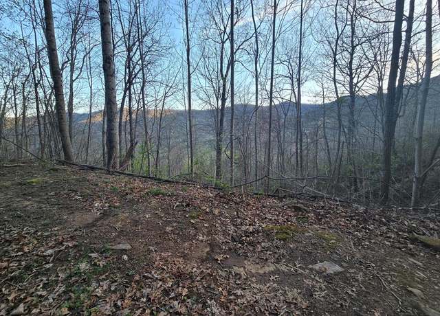 Property at Lt 14 Tuts Ter, Sylva, NC 28779