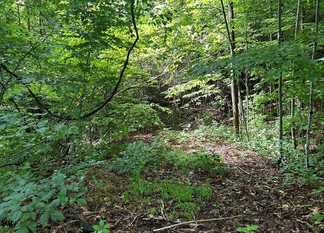 Property at Lot 50 Grand View Ests, Whittier, NC 28789
