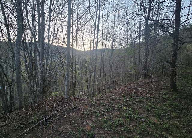 Property at Lt 7 Tuts Ter, Sylva, NC 28779