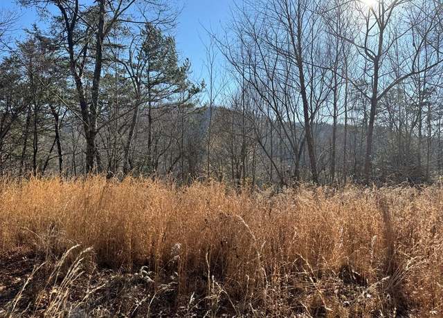 Property at 59-112 Karen Lee Ln, Whittier, NC 28713