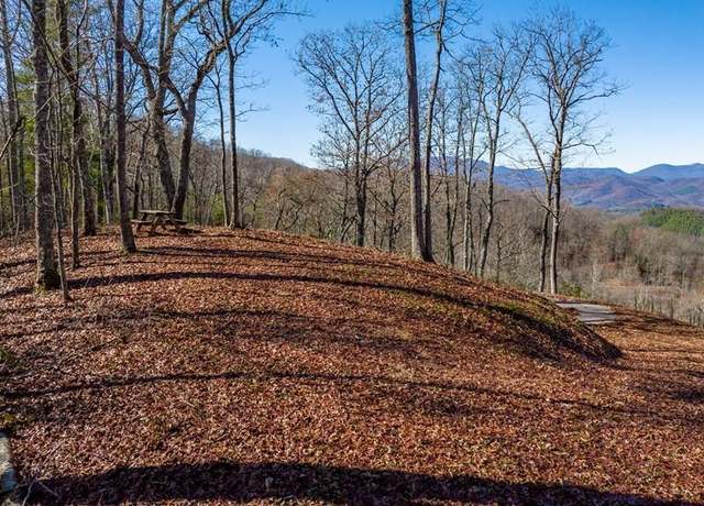 Property at Lot 65 Elkhorn Ridge Dr, Franklin, NC 28734