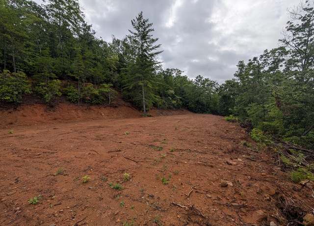 Property at 00 Cherokee Mine Rd, Franklin, NC 28734